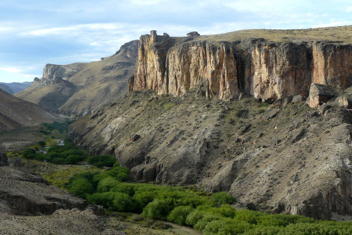 Scuba Diving Charter in Boyton Beach