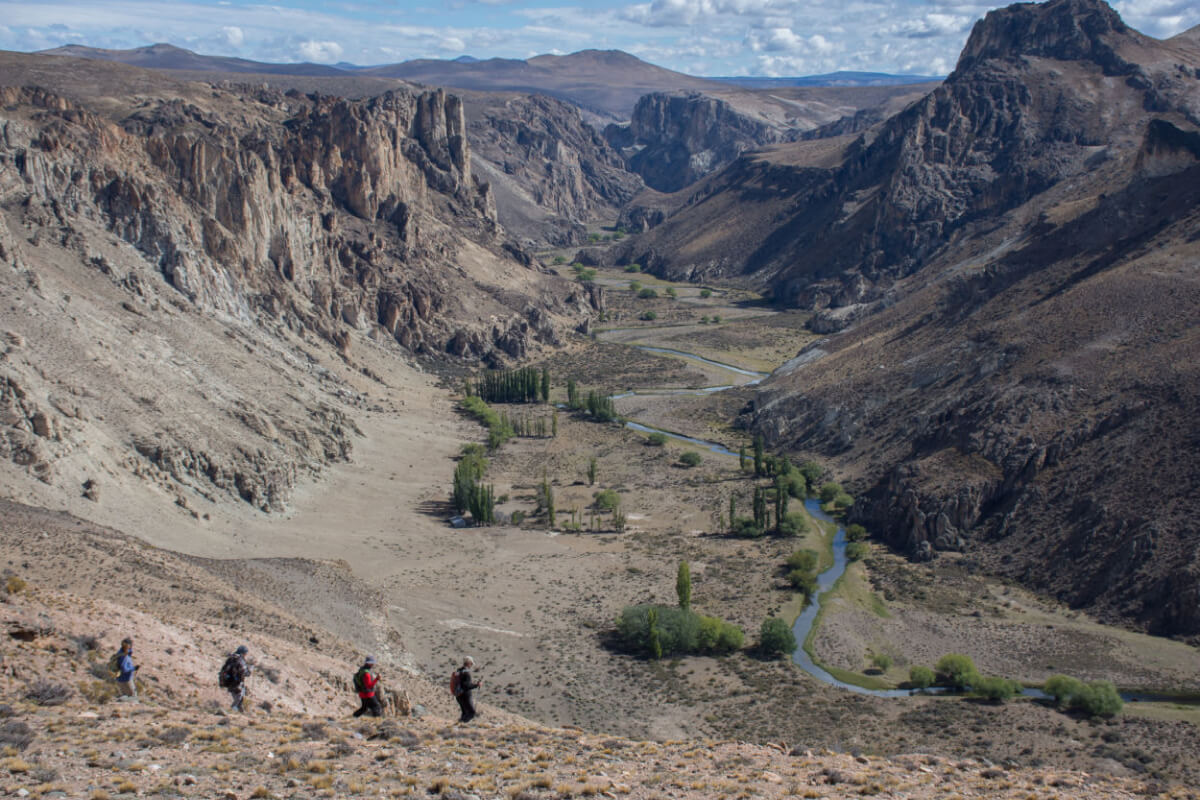 Scuba Diving Charter in Boyton Beach