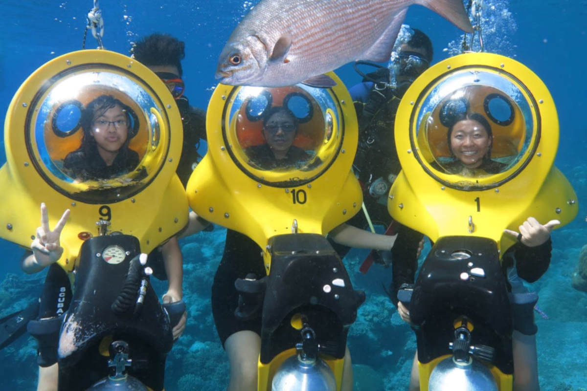 Mangrove Tunnel Kayak Eco Tour