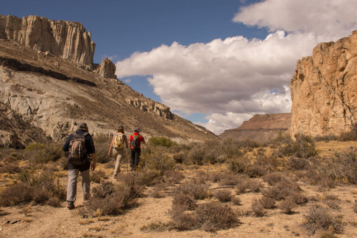 Scuba Diving Charter in Boyton Beach